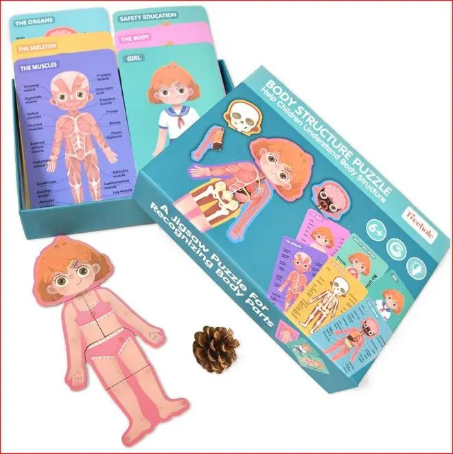BODY STRUCTURE PUZZLE