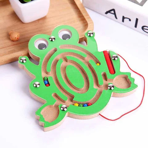 MAGNETIC MAZE