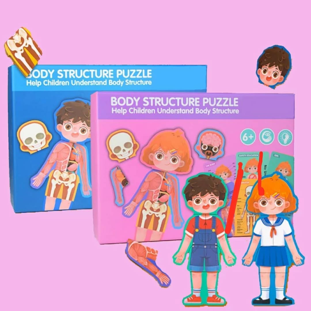 BODY STRUCTURE PUZZLE