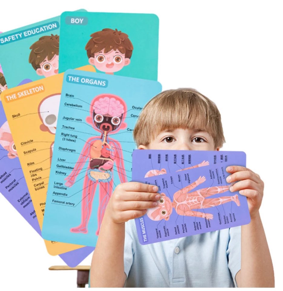 BODY STRUCTURE PUZZLE