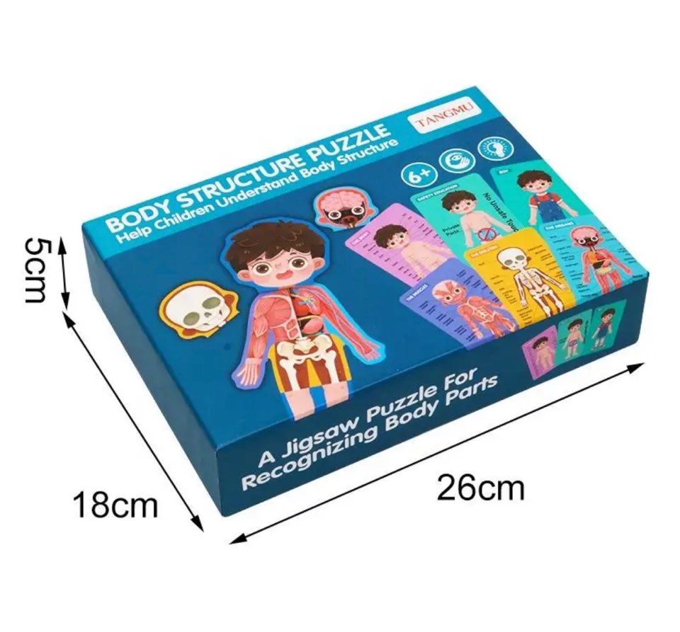 BODY STRUCTURE PUZZLE