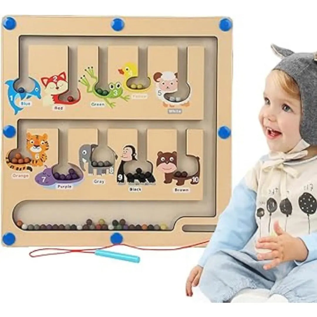 ANIMAL MAGNETIC COLOR AND NUMBER MAZE