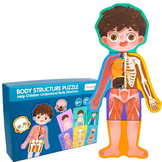 BODY STRUCTURE PUZZLE