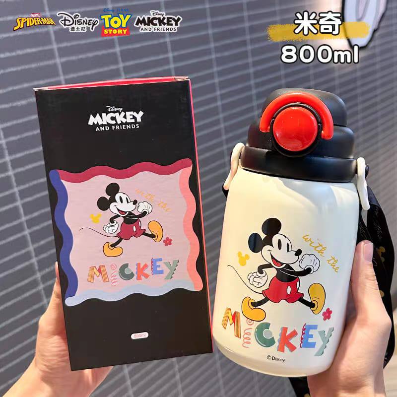DISNEY WATER BOTTLE (800ML)