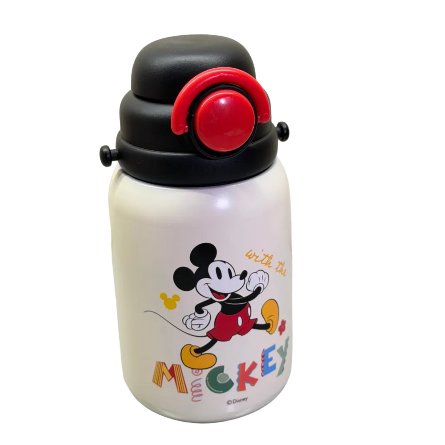 DISNEY WATER BOTTLE (800ML)