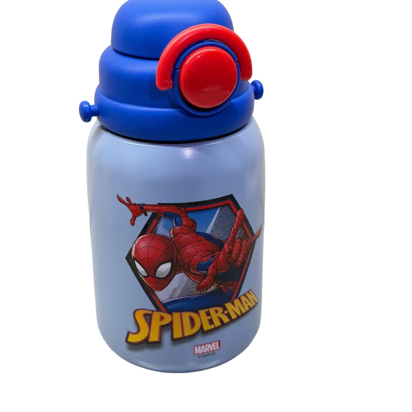DISNEY WATER BOTTLE (800ML)