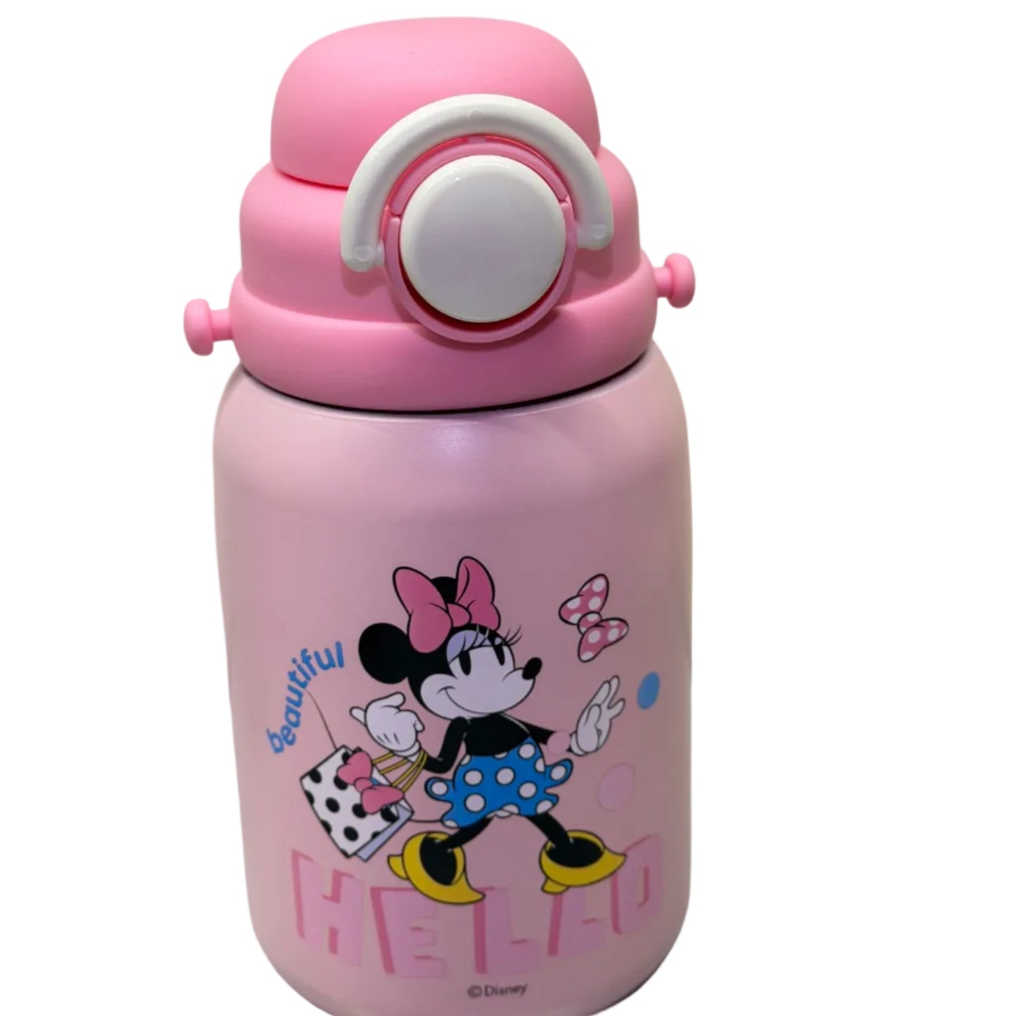 DISNEY WATER BOTTLE (800ML)