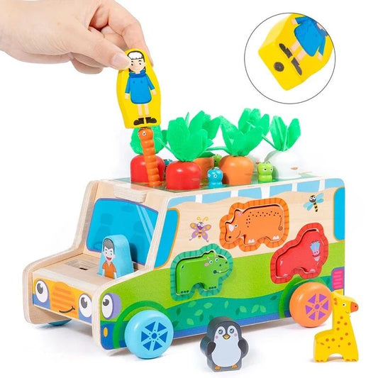 CARROT HARVEST TRUCK