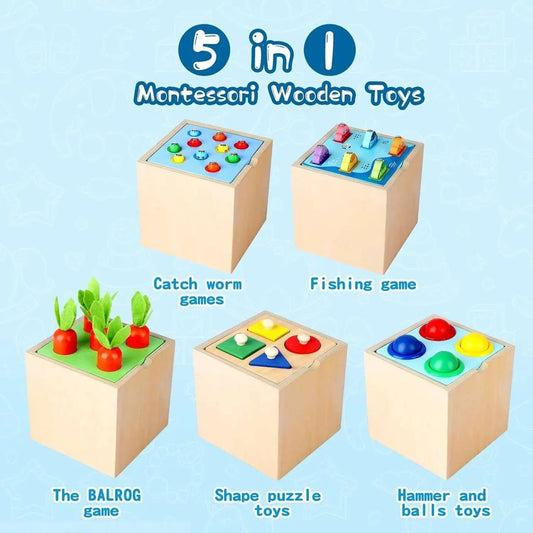 5 in 1 MONTESSORI BOX