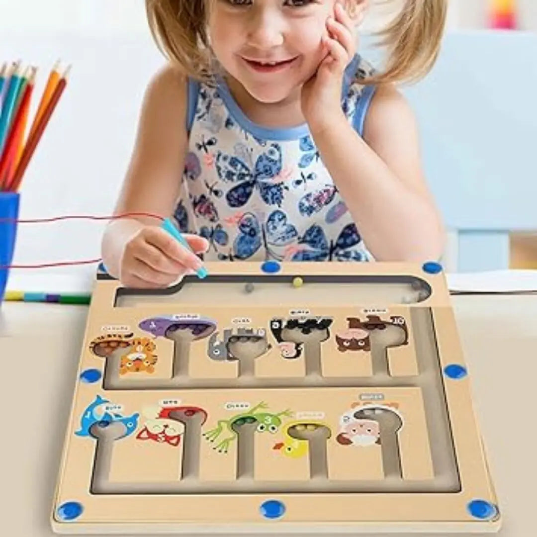 ANIMAL MAGNETIC COLOR AND NUMBER MAZE